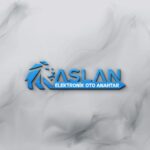 ASLAN ELEKTRONİK ANAHTAR
